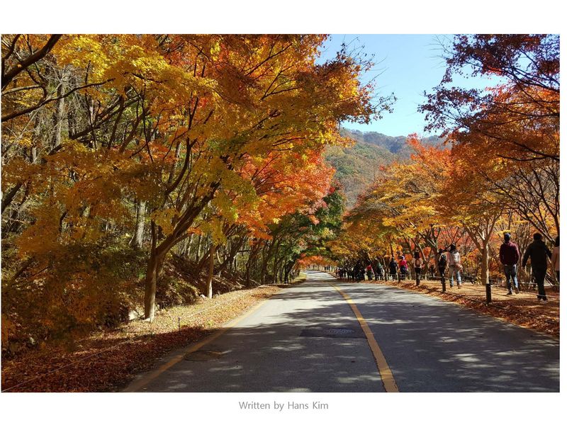 Seoul Private Tour - Autumn colors in national park