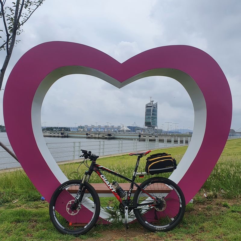 Seoul Private Tour - Riding along Han river