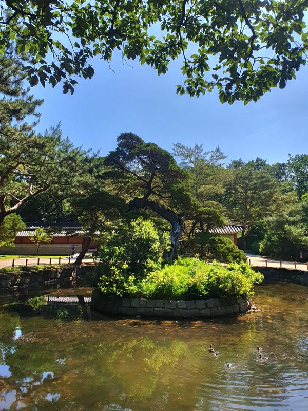 Seoul Private Tour - Jongmyo shrine, Unesco heritage