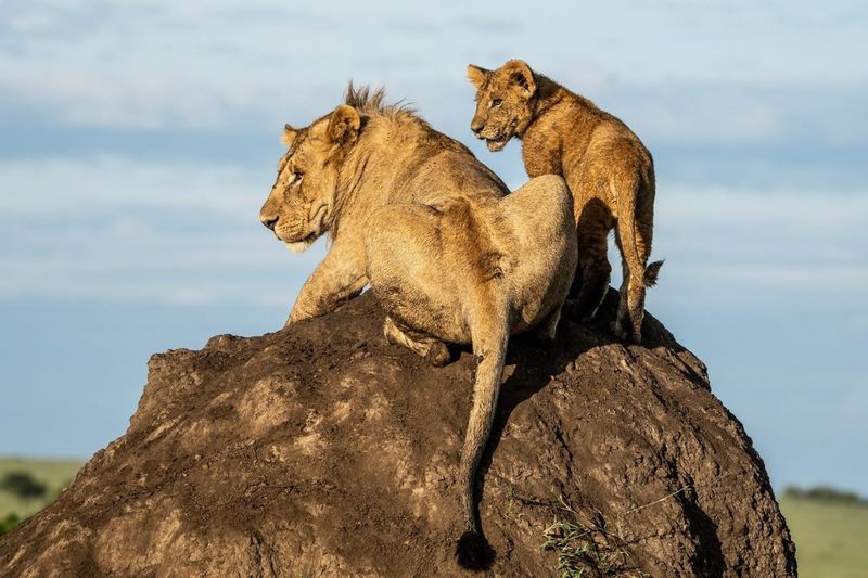 Nairobi Private Tour - At Nakuru national park.