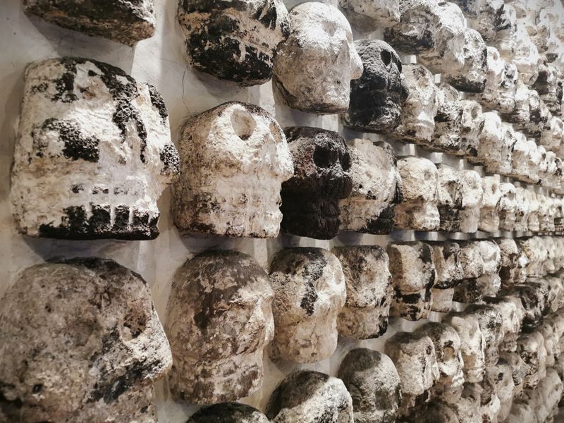 Mexico City Private Tour - The Temple of Skulls at Templo Mayor