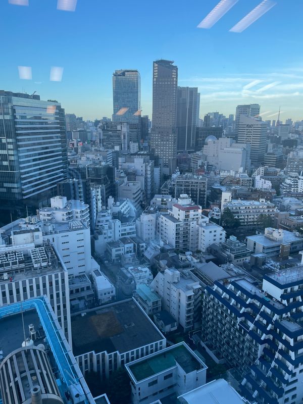 Tokyo Private Tour - Shibuya View