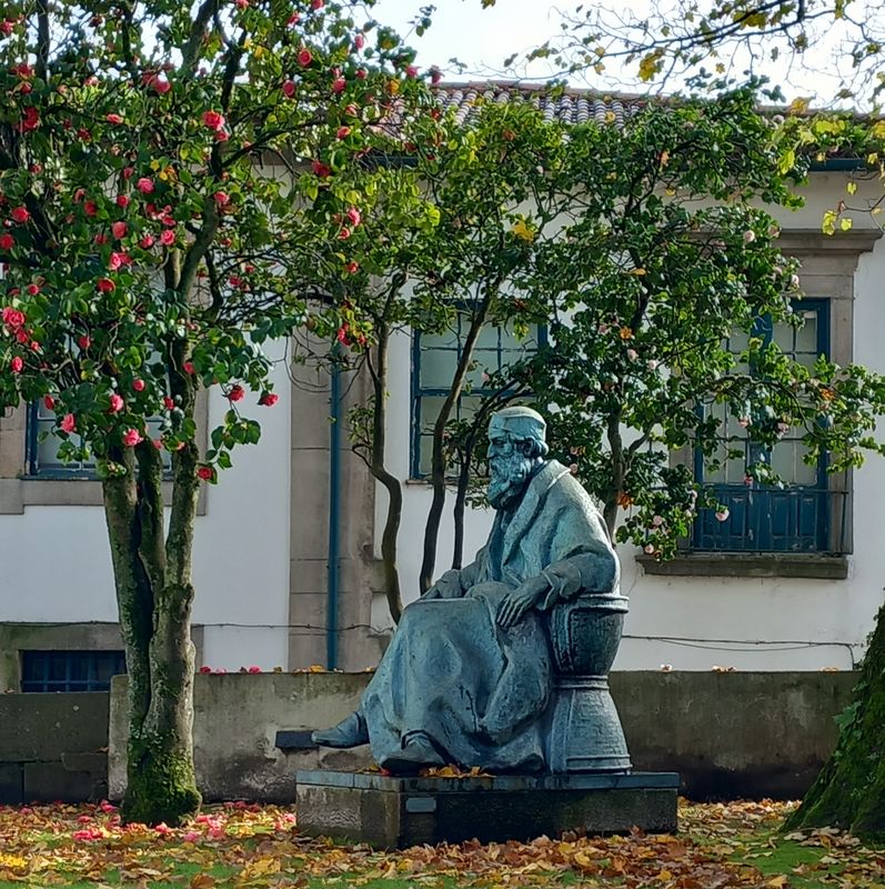 Porto Private Tour - Statue of Guerra Junqueiro