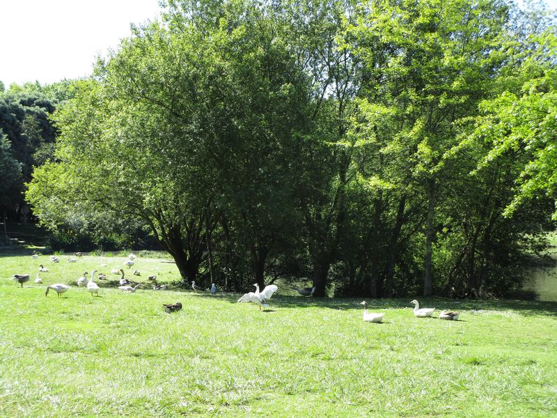 Porto Private Tour - City's Park