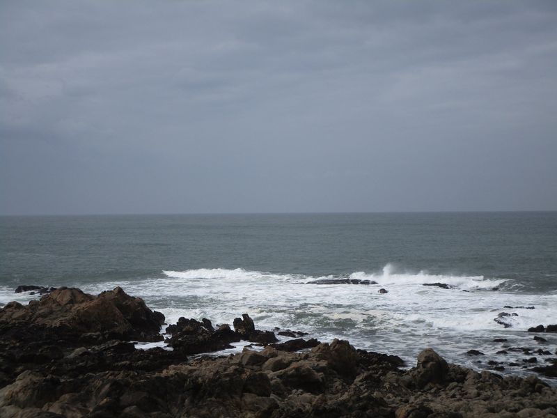 Porto Private Tour - Seaside