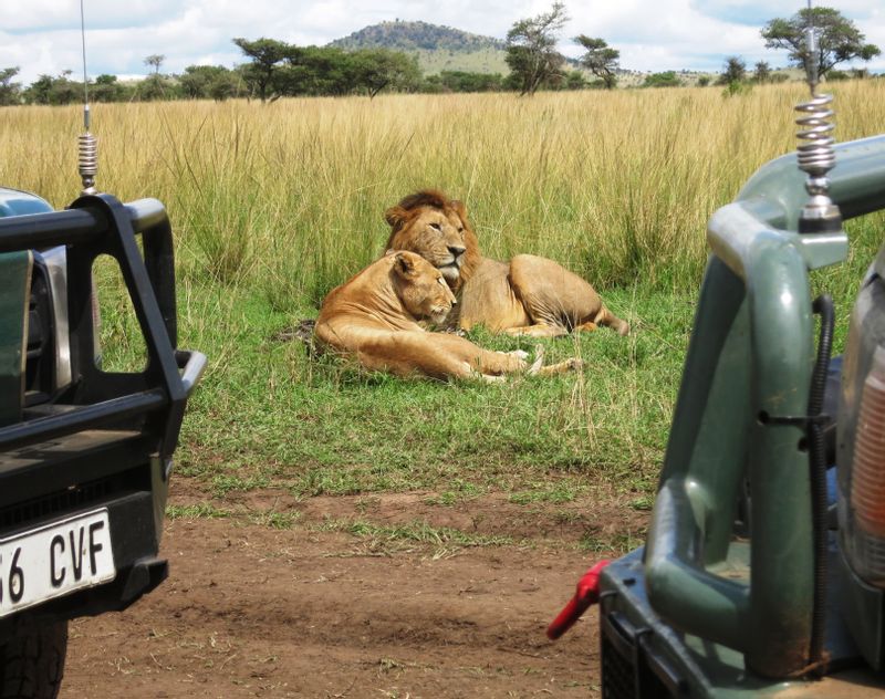 Nairobi Private Tour - Masai Mara National Reserve - safari