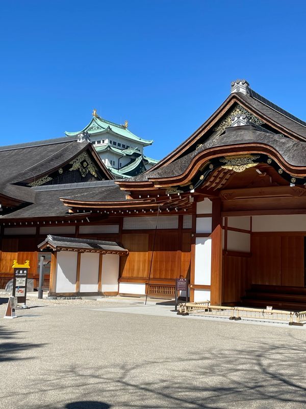 Aichi Private Tour - Honmaru palace and Nagoya castle 