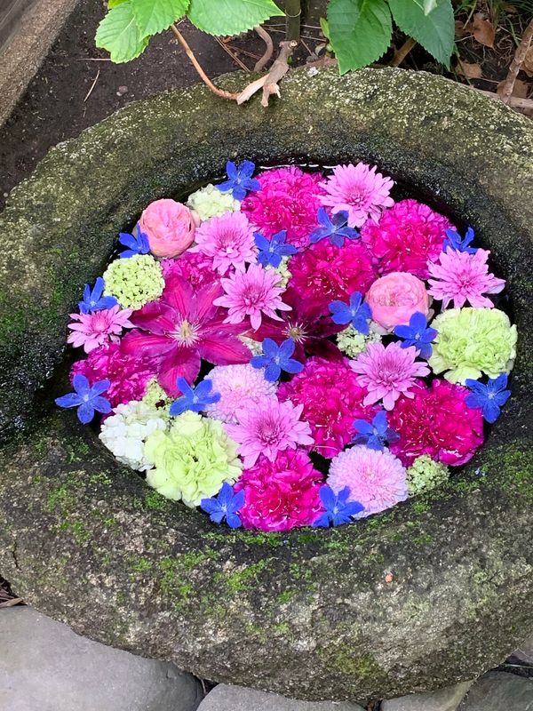 Aichi Private Tour - Arrangement of flowers on the surface of a water basin in shrines or temples