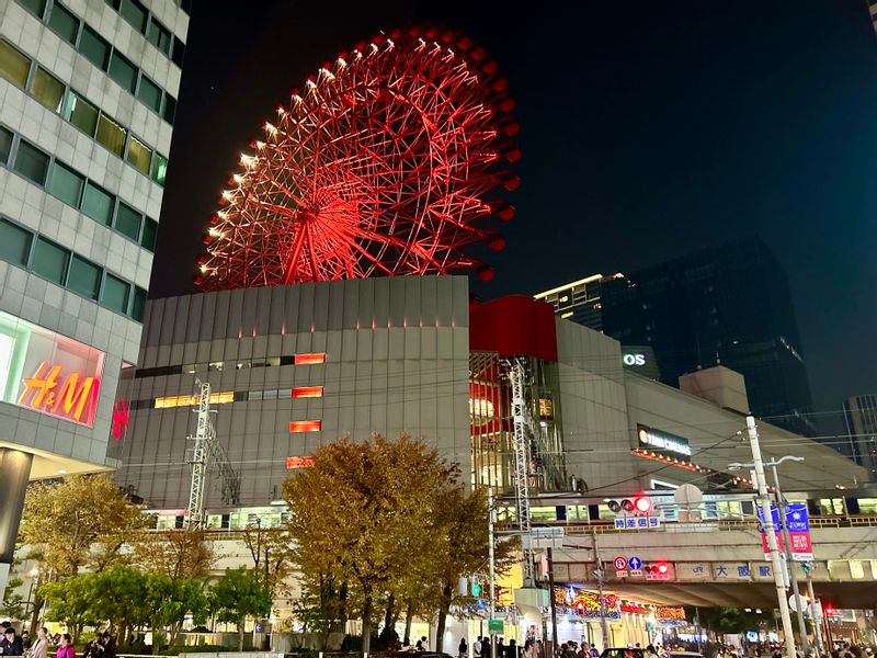 Osaka Private Tour - Ferris Wheel in Umeda