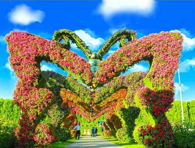 Ras Al Khaimah Private Tour - Miracle Garden