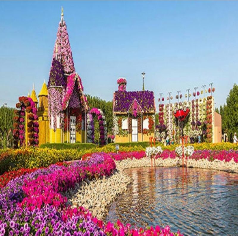 Ras Al Khaimah Private Tour - Miracle Garden