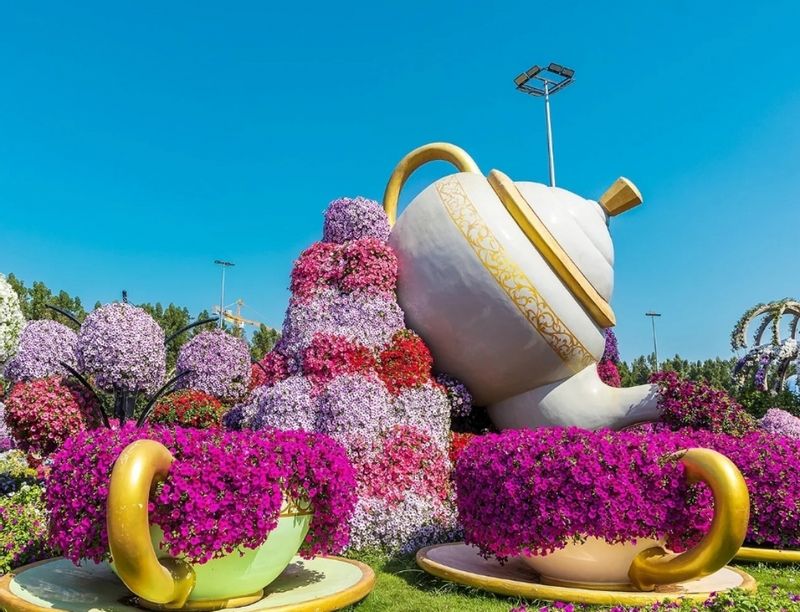 Ras Al Khaimah Private Tour - Miracle Garden