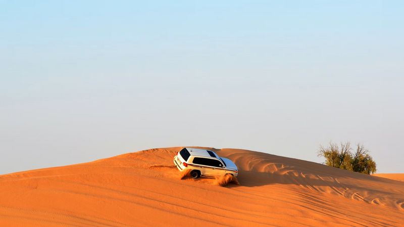 Ras Al Khaimah Private Tour - Desert Safari