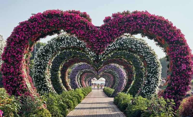 Ras Al Khaimah Private Tour - Miracle Garden