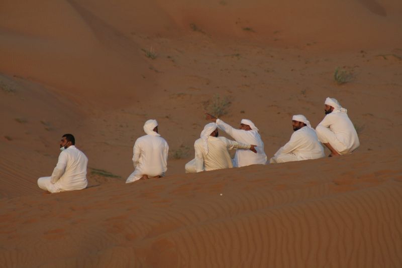 Ras Al Khaimah Private Tour - Desert-Ras al Kahimah