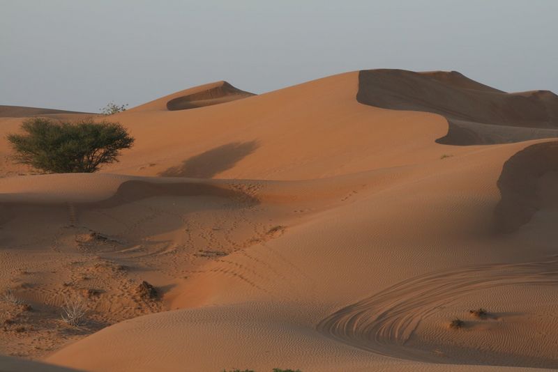 Ras Al Khaimah Private Tour - Desert-Ras al Kahimah