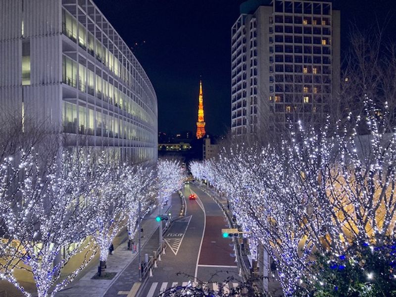 Yokohama Private Tour - Winter illuminations with Tokyo Tower