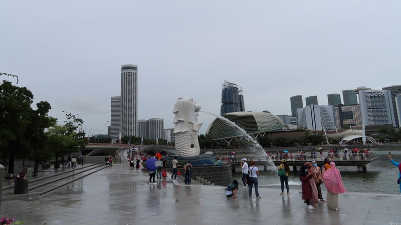 Singapore Private Tour - Merlion Park