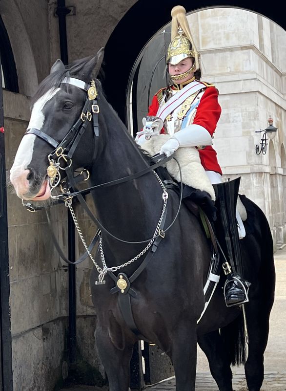 London Private Tour - Happy horse at Horse Guards Parade 