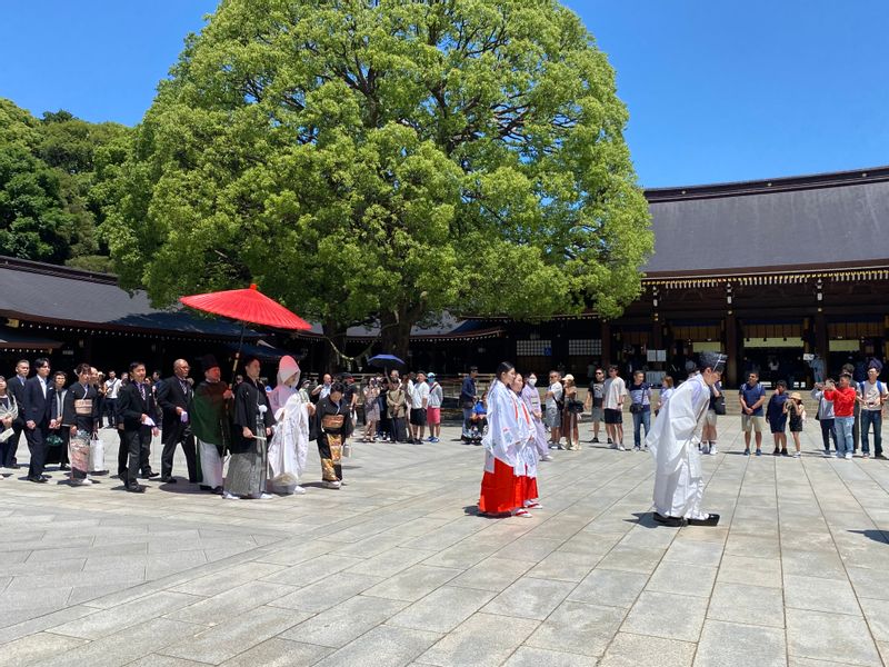 Tokyo Private Tour - Meiji Shrine