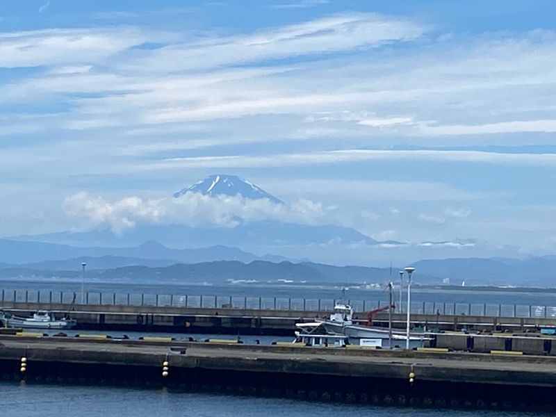 Tokyo Private Tour - Fujisan… from enoshima