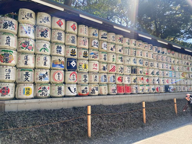 Tokyo Private Tour - Meiji Shrine