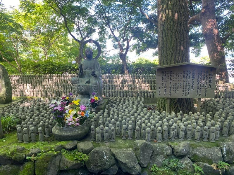 Tokyo Private Tour - Kamakura - Hasedera