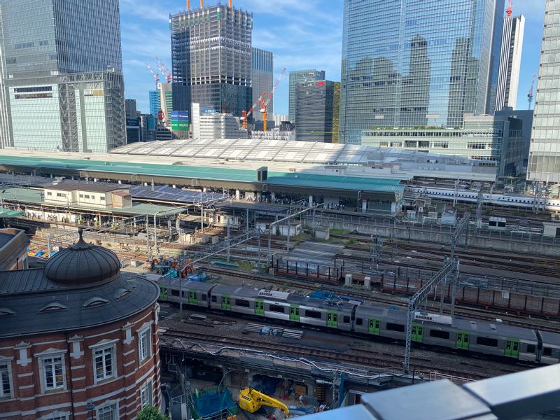 Tokyo Private Tour - Tokyo station 