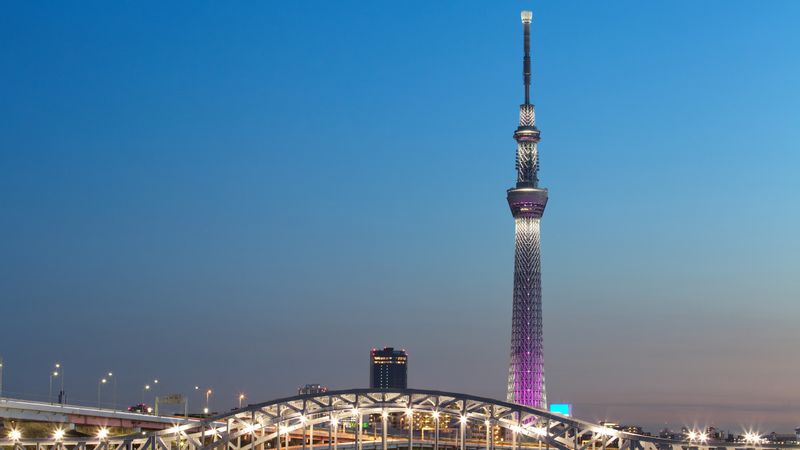 Kanagawa Private Tour - Tokyo Sky Tree