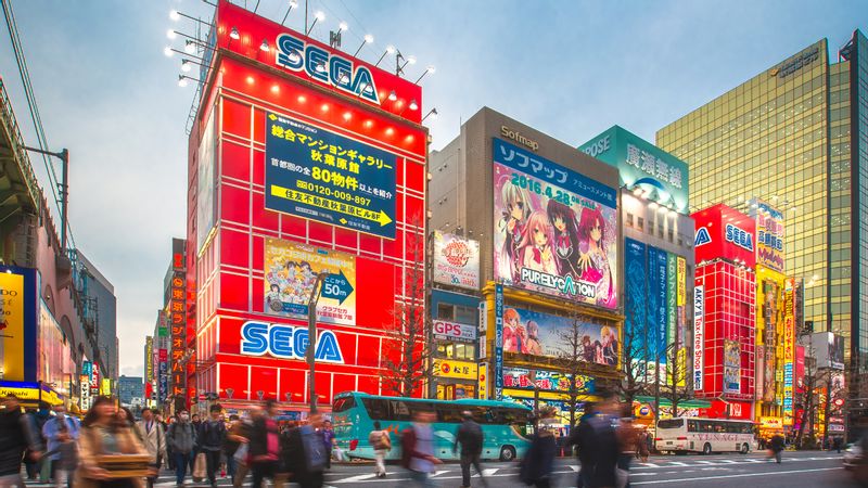 Kanagawa Private Tour - Arcade - Akihabara