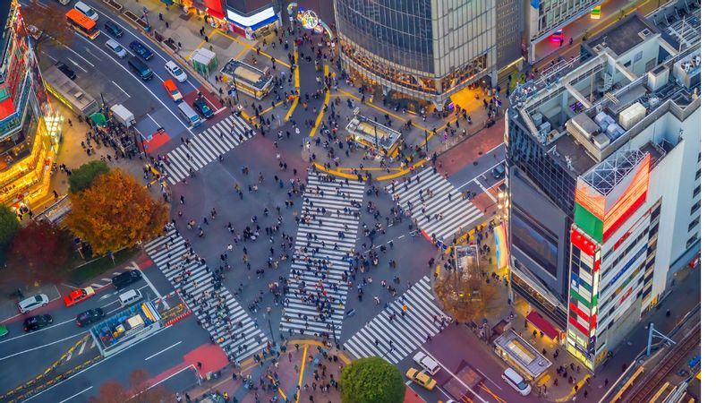 Kanagawa Private Tour - Shibuya Crossing