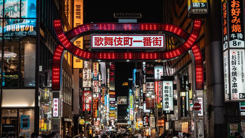 Kanagawa Private Tour - Kabuki Chō - Shinjuku