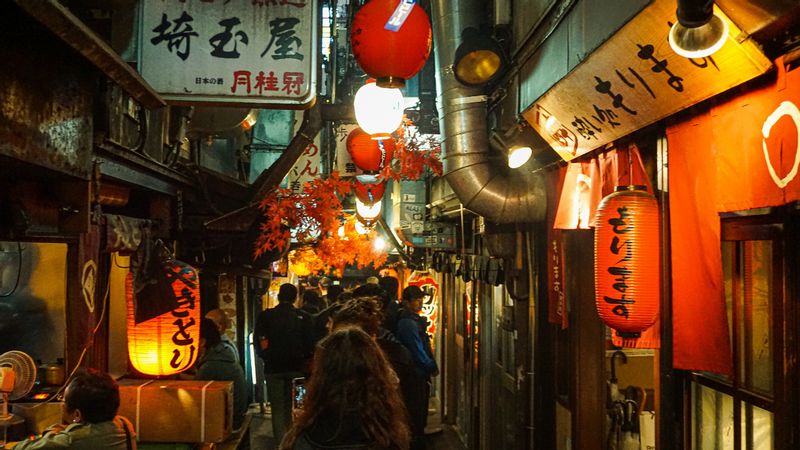 Kanagawa Private Tour - Izakaya - Shinjuku