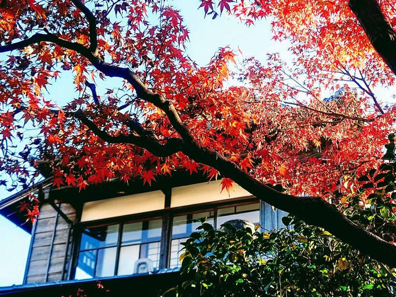 Chiba Private Tour - Yamamoto house