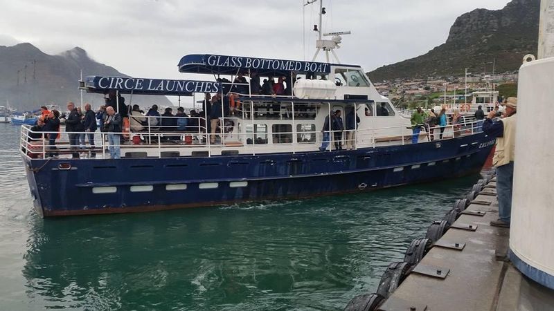 Cape Town Private Tour - Houtbay Seal island boat