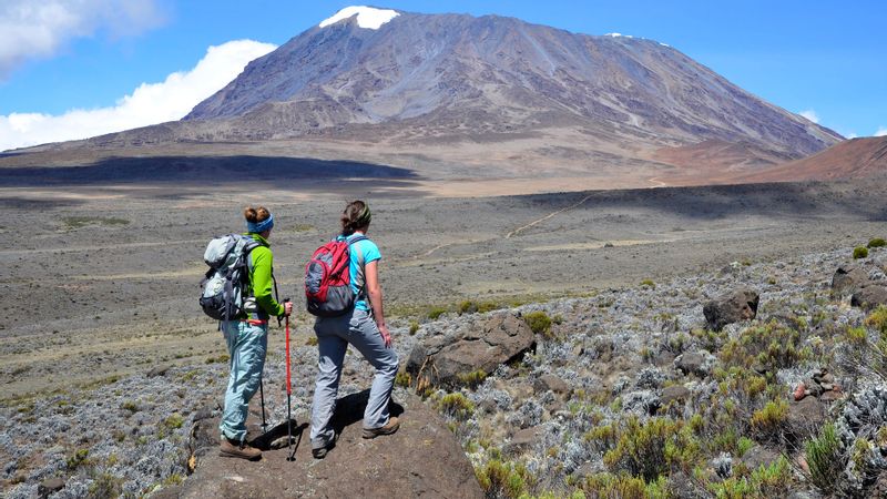 Kilimanjaro Private Tour - 