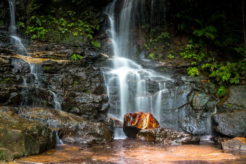 Sydney Private Tour - Walks immersed in nature