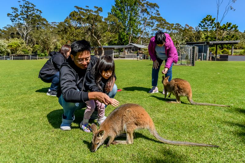 Sydney Private Tour - Avoid the tourist traps 