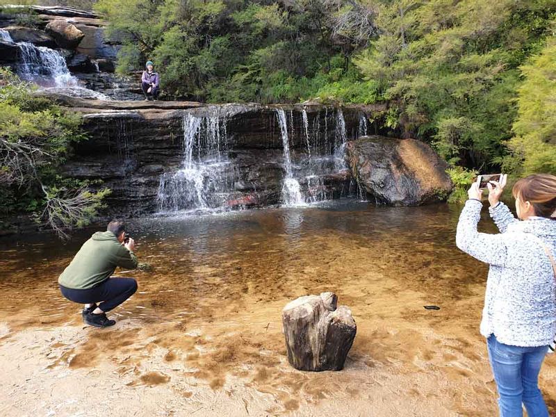 Sydney Private Tour - Explore waterfalls with us in Blue Mountains