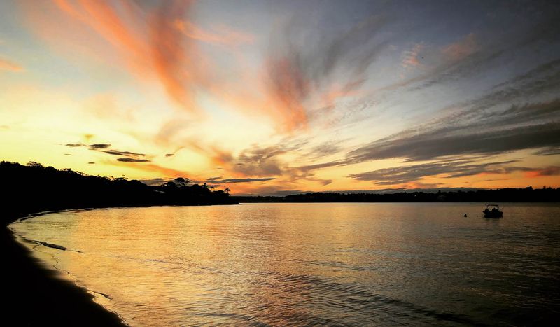 Sydney Private Tour - Late afternoon walks