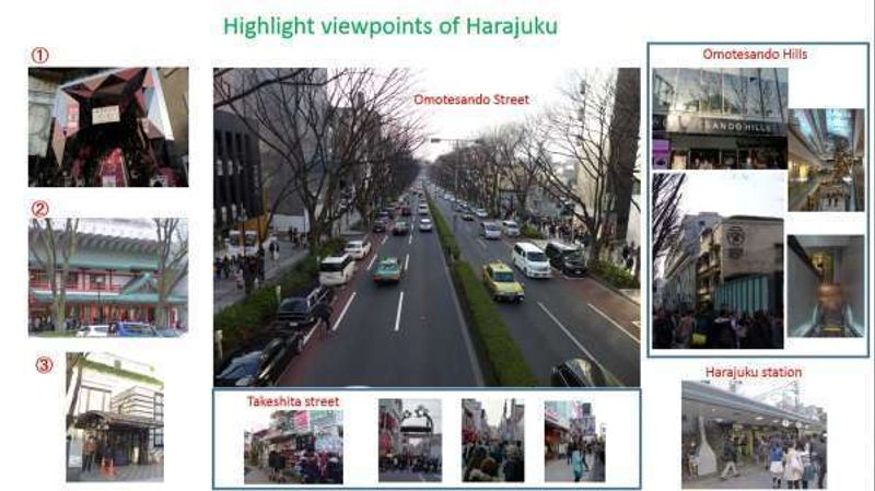 Kanagawa Private Tour - Highlight spots of Harajuku area