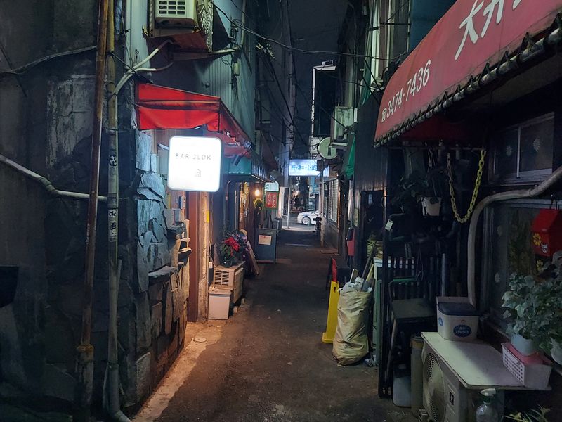 Tokyo Private Tour - Retro alley in Oimachi, Tokyo 