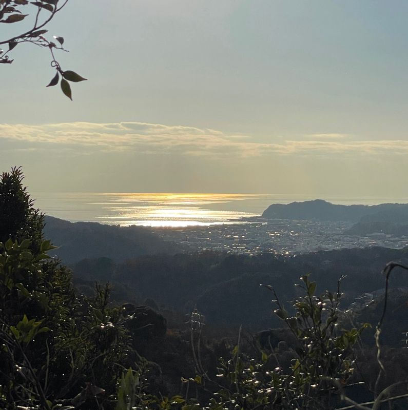 Kamakura Private Tour - View of beautiful Kamakura from behind from the trail