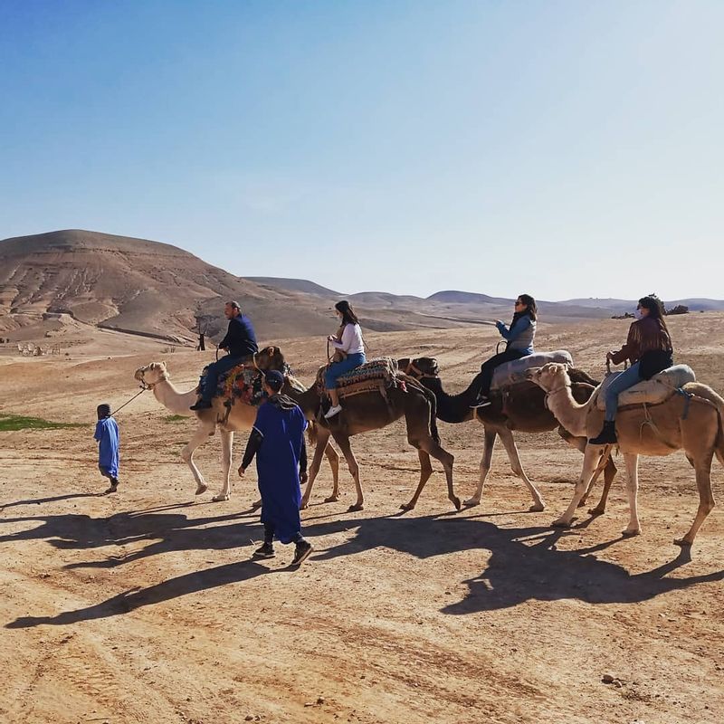 Marrakech Private Tour - Agafay Desert Camel Ride