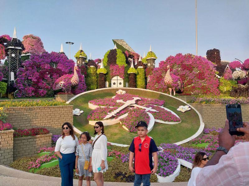 Dubai Private Tour - The Dubai Miracle Garden is a flower garden located in the district of Dubailand, Dubai, United Arab Emirates. The garden was launched on Valentine's Day in 2013. It occupies over 72,000 square metres, making it the world's largest natural flower garden, featuring over 50 million flowers and 250 million plants