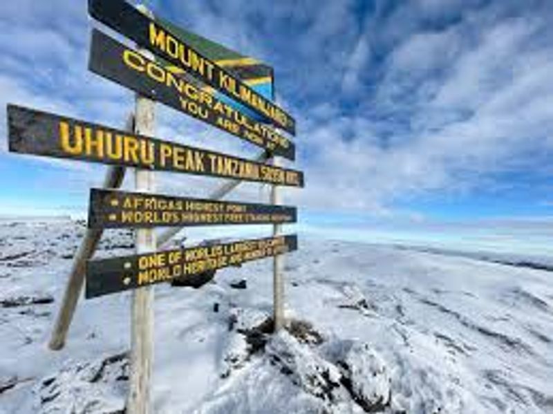 Kilimanjaro Private Tour - 