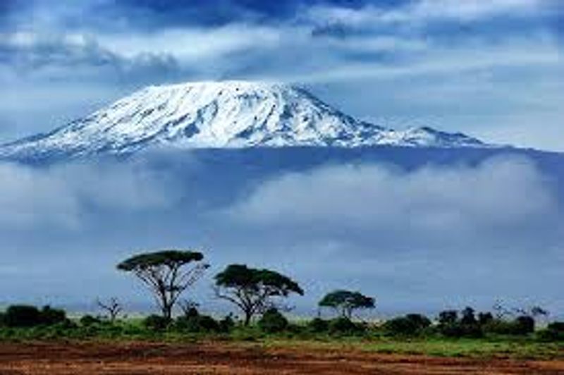 Kilimanjaro Private Tour - 