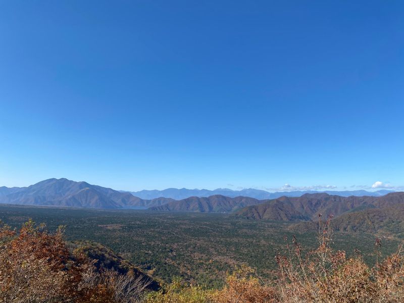 Yamanashi Private Tour - From the view spot of the trekking tour.Sea of trees"Jukai"looks like huge ocean!