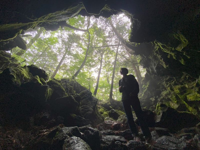 Yamanashi Private Tour - One of the cave in sea of trees"Jukai"whcih has been created on lava from Mt.Fuji.