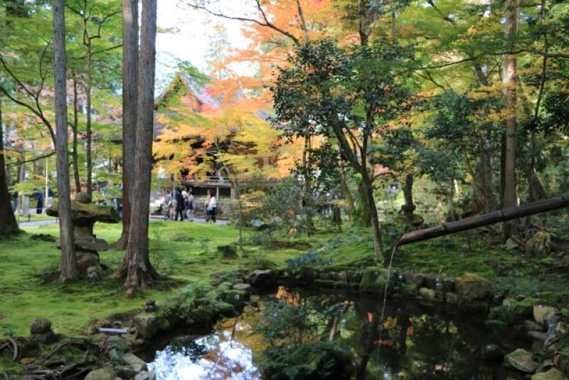 Kyoto Private Tour - 